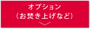 オプション料金へ